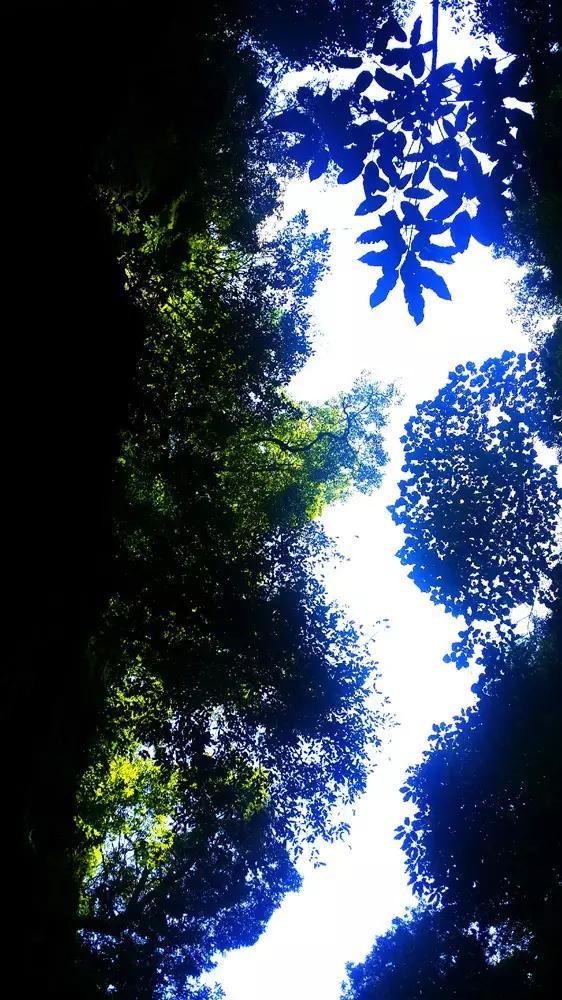 逃出上锁的现代房间8