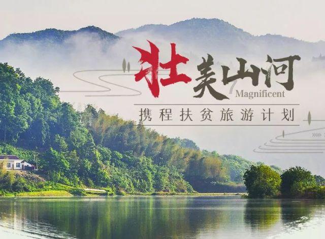 头皮多了用什么洗发水可以洗?去屑止痒去油洗发水推荐